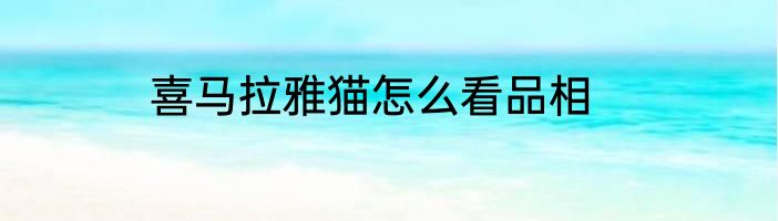 喜马拉雅猫怎么看品相