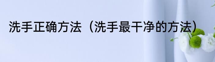 洗手正确方法（洗手最干净的方法）