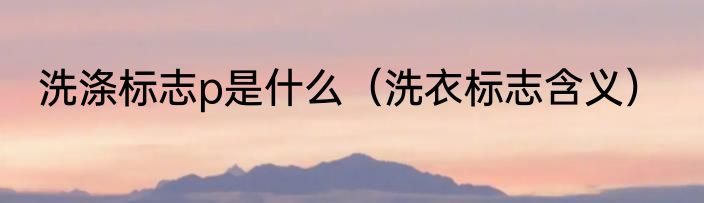 洗涤标志p是什么（洗衣标志含义）