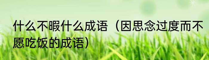 什么不暇什么成语（因思念过度而不愿吃饭的成语）