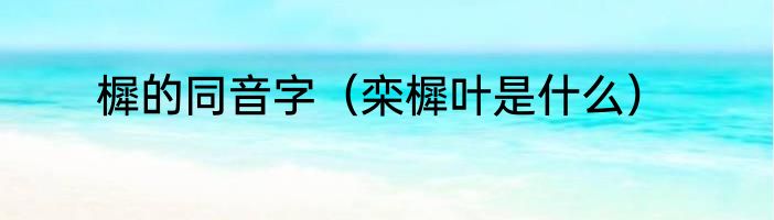 樨的同音字（栾樨叶是什么）