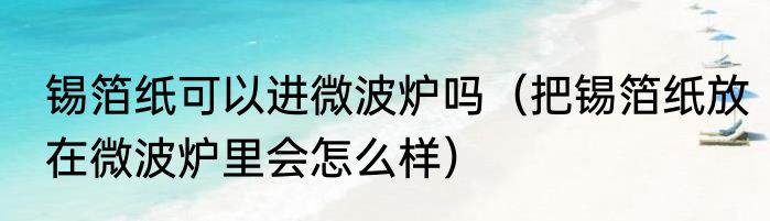 锡箔纸可以进微波炉吗（把锡箔纸放在微波炉里会怎么样）
