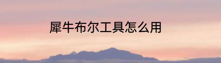 犀牛布尔工具怎么用
