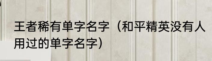 王者稀有单字名字（和平精英没有人用过的单字名字）