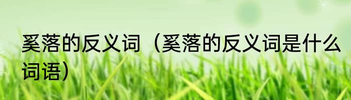 奚落的反义词（奚落的反义词是什么词语）