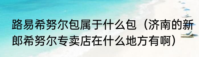 路易希努尔包属于什么包（济南的新郎希努尔专卖店在什么地方有啊）