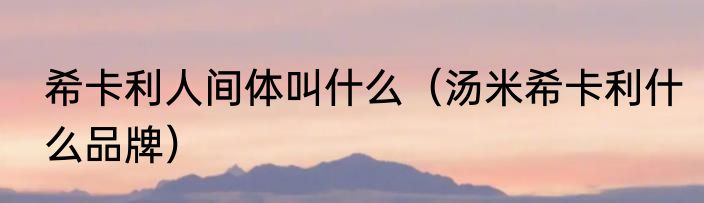 希卡利人间体叫什么（汤米希卡利什么品牌）