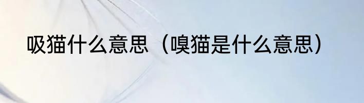 吸猫什么意思（嗅猫是什么意思）