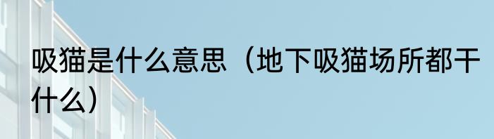 吸猫是什么意思（地下吸猫场所都干什么）