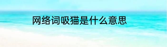 网络词吸猫是什么意思