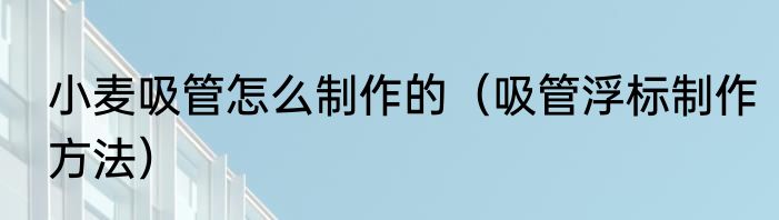 小麦吸管怎么制作的（吸管浮标制作方法）