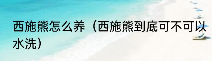 西施熊怎么养（西施熊到底可不可以水洗）