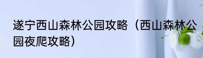 遂宁西山森林公园攻略（西山森林公园夜爬攻略）