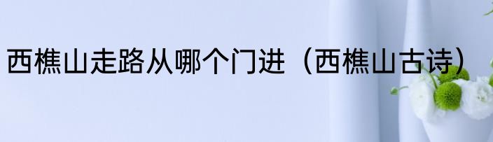 西樵山走路从哪个门进（西樵山古诗）