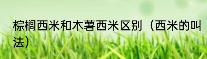 棕榈西米和木薯西米区别（西米的叫法）