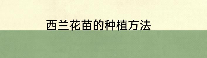 西兰花苗的种植方法