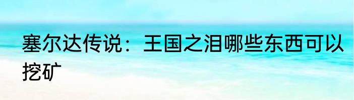 塞尔达传说：王国之泪哪些东西可以挖矿