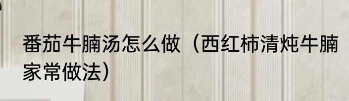 番茄牛腩汤怎么做（西红柿清炖牛腩家常做法）