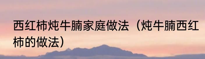 西红柿炖牛腩家庭做法（炖牛腩西红柿的做法）