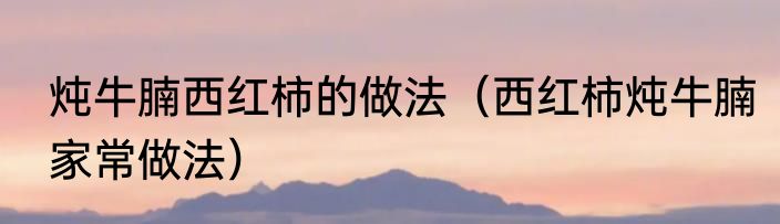 炖牛腩西红柿的做法（西红柿炖牛腩家常做法）