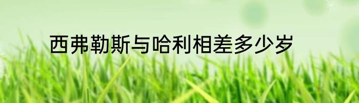 西弗勒斯与哈利相差多少岁