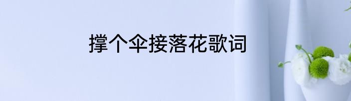 撑个伞接落花歌词