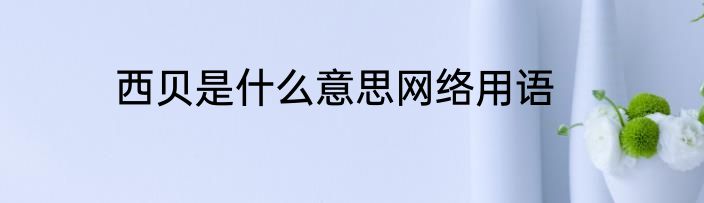 西贝是什么意思网络用语