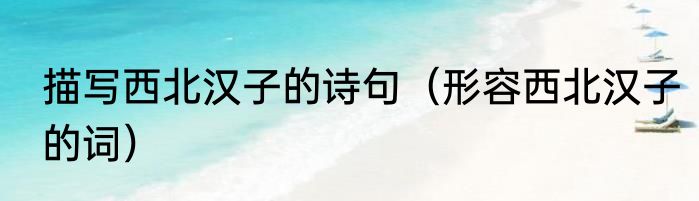 描写西北汉子的诗句（形容西北汉子的词）