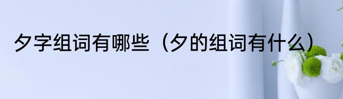 夕字组词有哪些（夕的组词有什么）