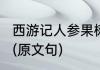 西游记人参果树为什么会落地寻无踪?(原文句)
