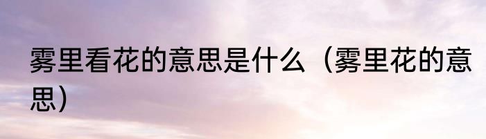 雾里看花的意思是什么（雾里花的意思）