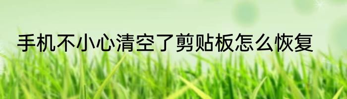 手机不小心清空了剪贴板怎么恢复