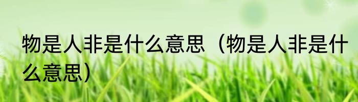 物是人非是什么意思（物是人非是什么意思）