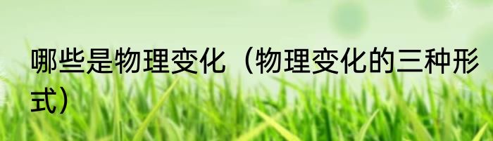 哪些是物理变化（物理变化的三种形式）