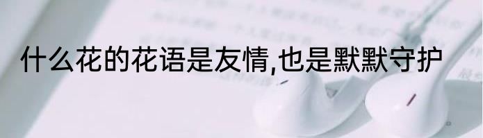 什么花的花语是友情,也是默默守护