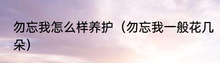 勿忘我怎么样养护（勿忘我一般花几朵）