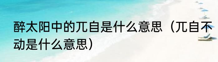 醉太阳中的兀自是什么意思（兀自不动是什么意思）