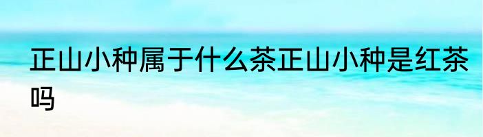 正山小种属于什么茶正山小种是红茶吗