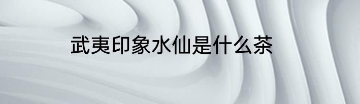 武夷印象水仙是什么茶