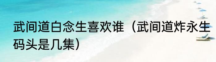 武间道白念生喜欢谁（武间道炸永生码头是几集）