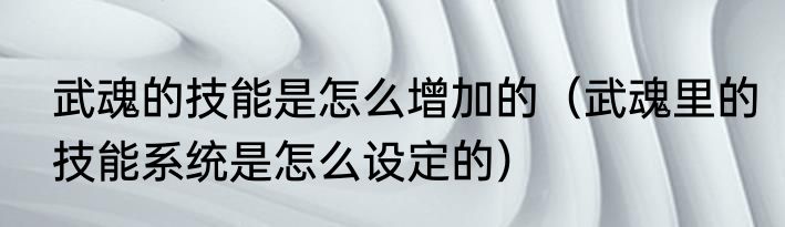 武魂的技能是怎么增加的（武魂里的技能系统是怎么设定的）