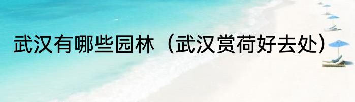 武汉有哪些园林（武汉赏荷好去处）