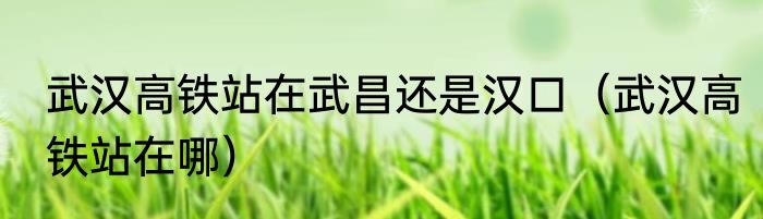 武汉高铁站在武昌还是汉口（武汉高铁站在哪）