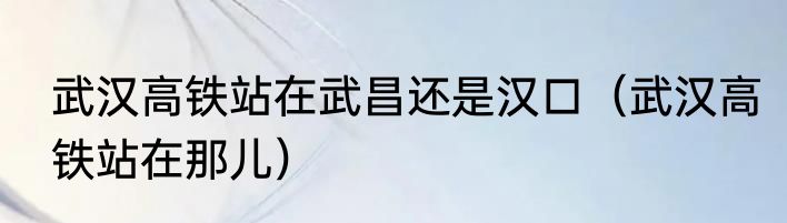武汉高铁站在武昌还是汉口（武汉高铁站在那儿）