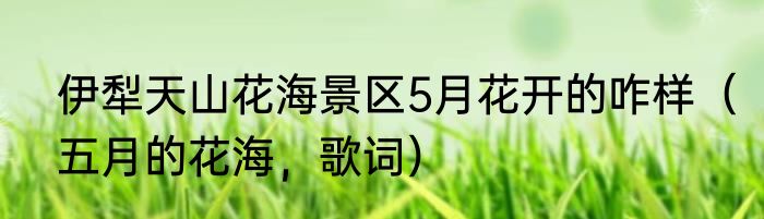 伊犁天山花海景区5月花开的咋样（五月的花海，歌词）