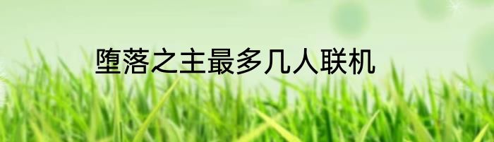 堕落之主最多几人联机