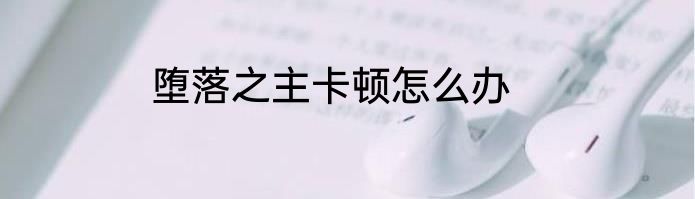 堕落之主卡顿怎么办