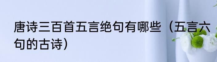唐诗三百首五言绝句有哪些（五言六句的古诗）