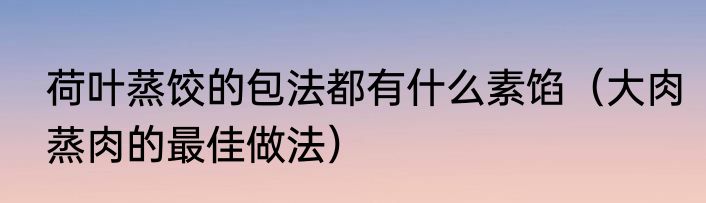 荷叶蒸饺的包法都有什么素馅（大肉蒸肉的最佳做法）
