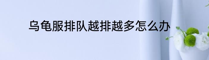 乌龟服排队越排越多怎么办